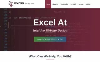 Excel on the Web