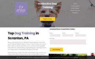 Instinctive Dog Training