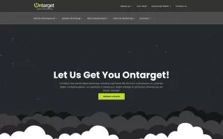 Ontarget Interactive