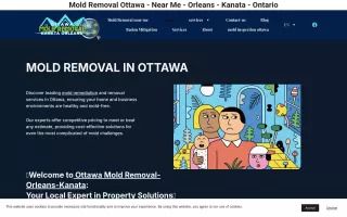 Ottawa Mold Removal-Orleans-Kanata