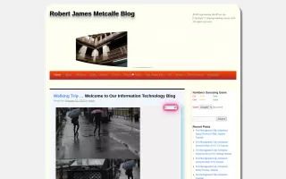 Robert James Metcalfe Blog