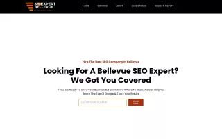 SEO Expert Bellevue