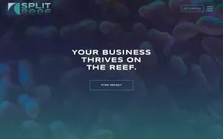 Split Reef: Columbus Web Design Company