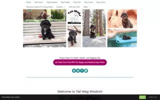 Tail Wag Wisdom