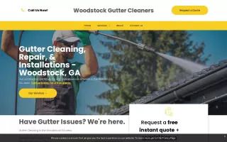 Woodstock Gutter Cleaning
