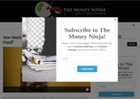 The Money Ninja