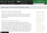 Africa Safari Blog