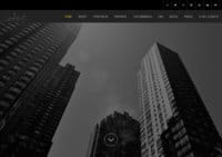 The New York Website Designer LLC