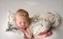 Denver Newborn Photographer I Christina Dooley Photography